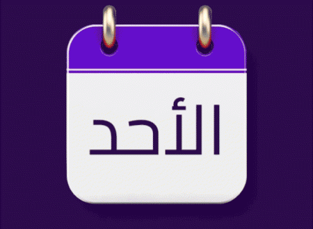 Ibrahim Gad - IGad Studio - Ibrahim Gad Studio